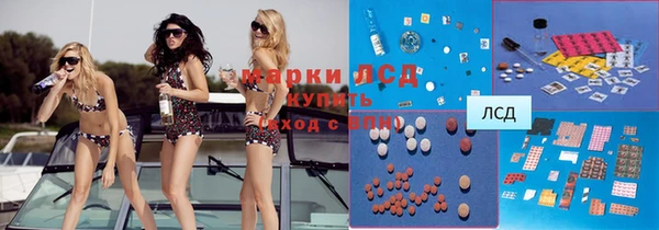 экстази Гусев