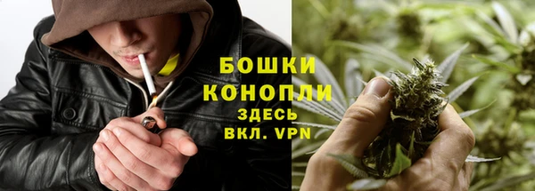 ALPHA PVP Гусиноозёрск