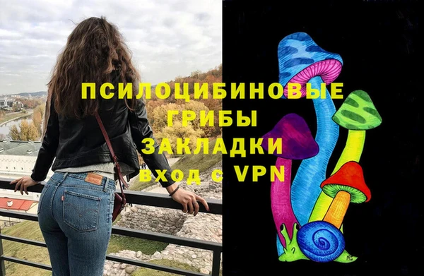ALPHA PVP Гусиноозёрск