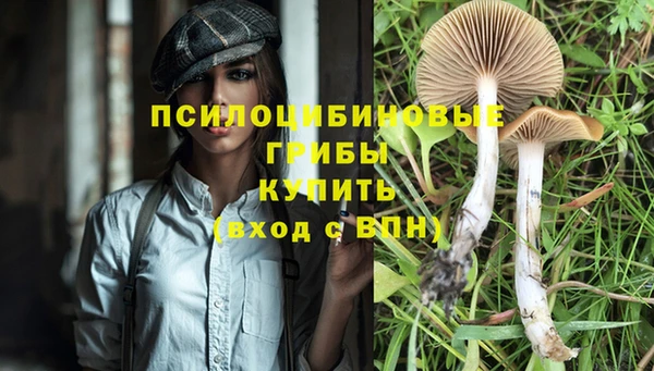прущие крисы Гусь-Хрустальный