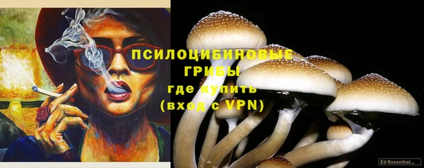 ALPHA PVP Гусиноозёрск