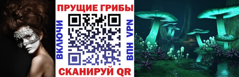 OMG как зайти  Стерлитамак  Галлюциногенные грибы Magic Shrooms 